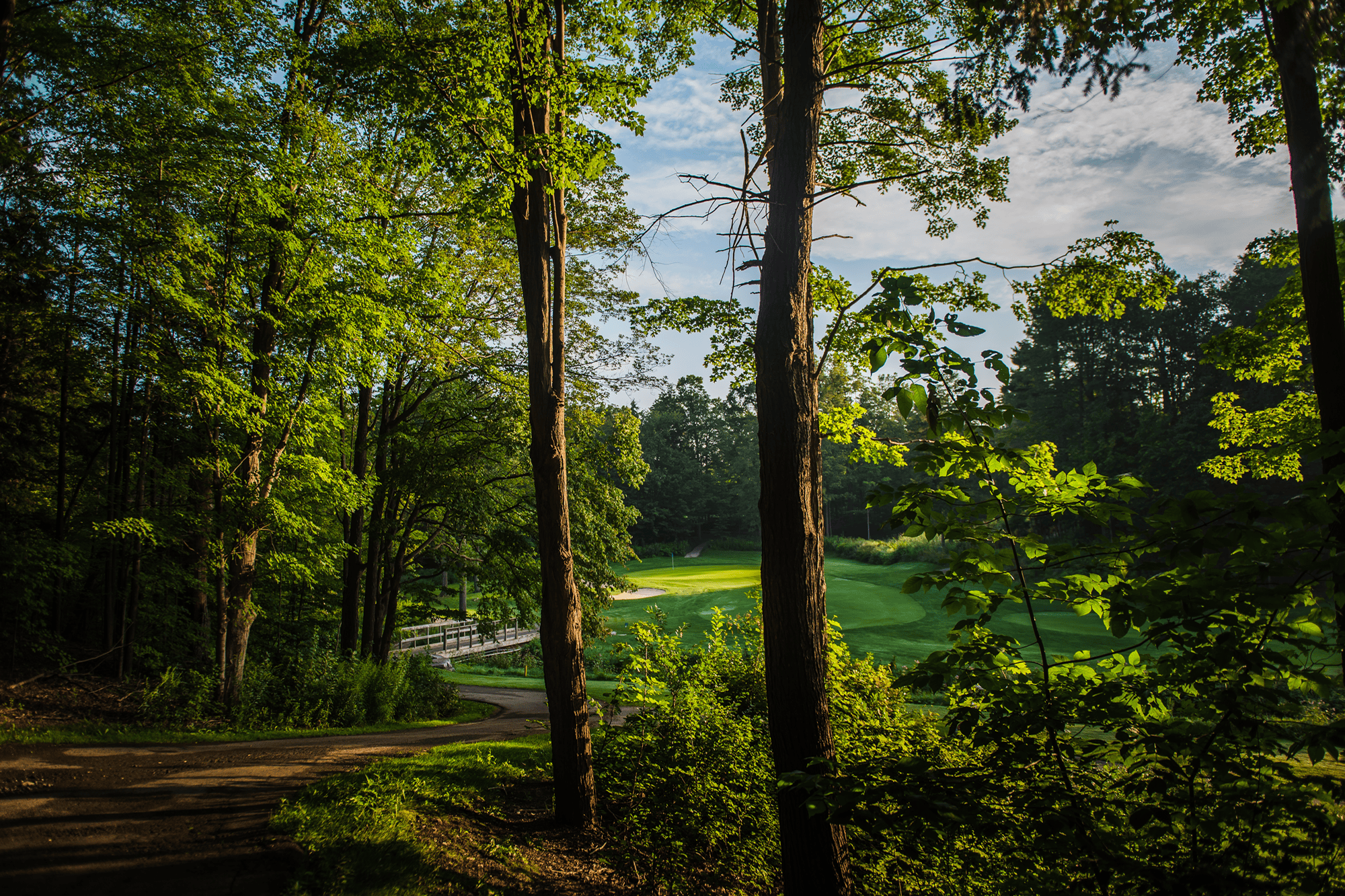 golf-course-12
