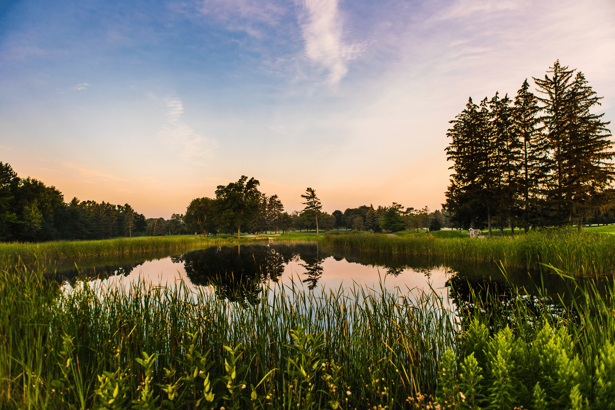 golf-course-37