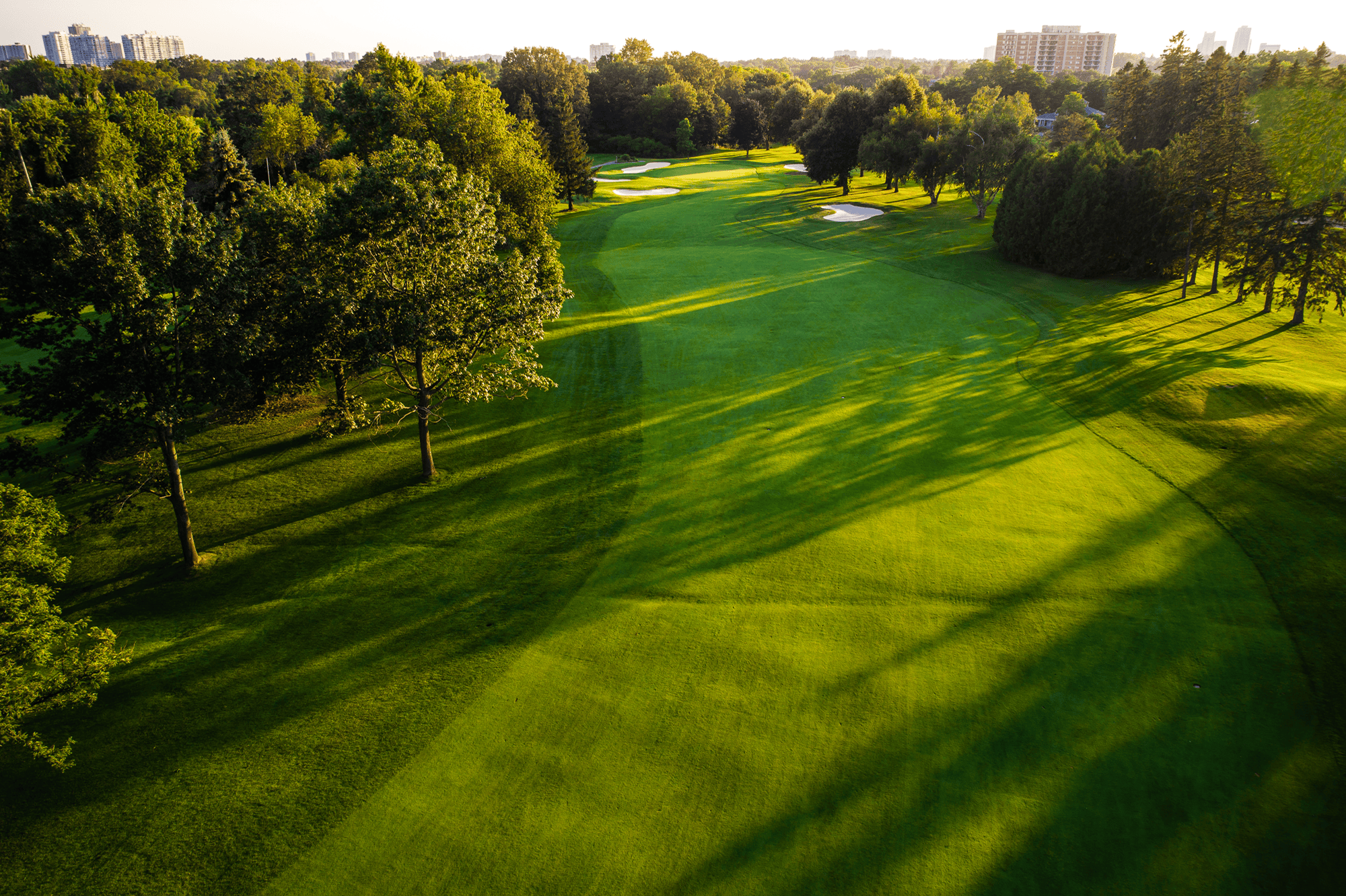 golf-course-36